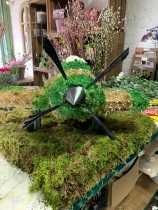 Spitfire plane