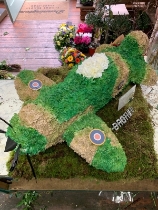 Spitfire plane