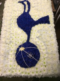 Tottenham cockerel .
